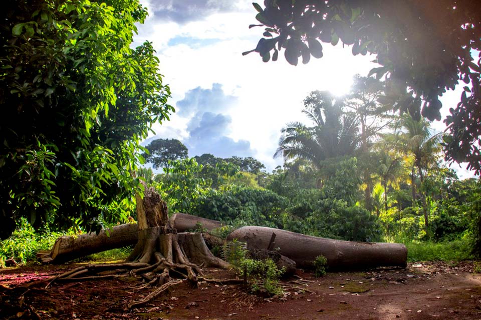 Invasores são notificados por ocupação irregular na Reserva Aquariquara em RO