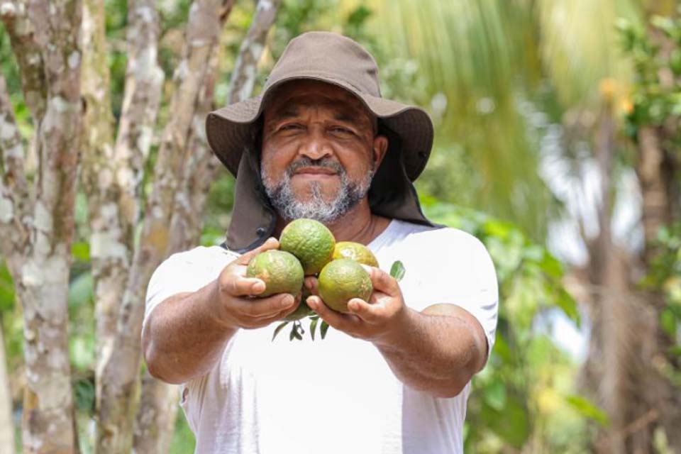 RO é Agro: calcário impulsiona produções agrícolas em Cujubim