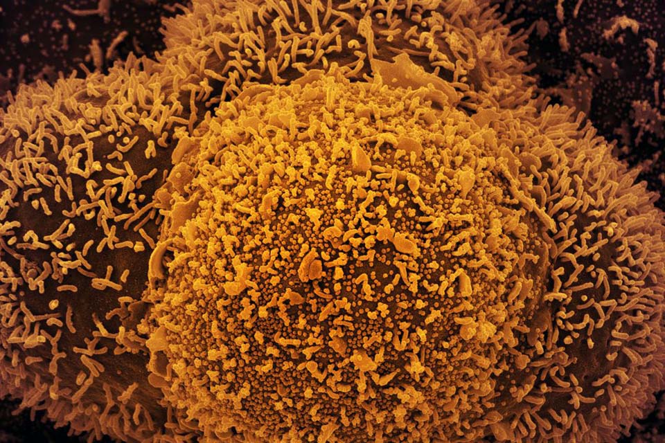 Covid-19 ofuscará comemorações de Ano-Novo no mundo