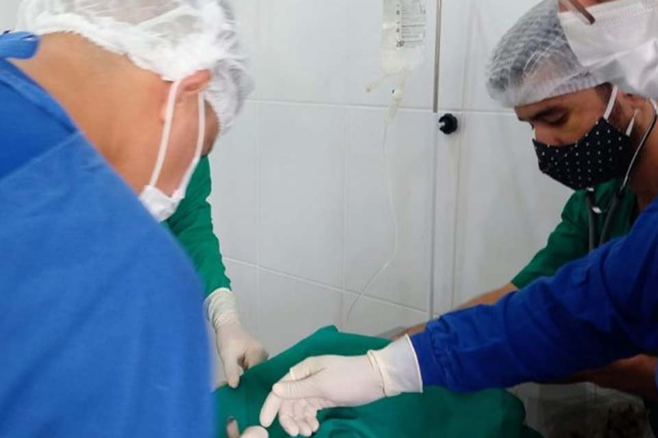 Prefeitura assina termo de cooperação com Unir para esterilização de cães e gatos de famílias de baixa renda