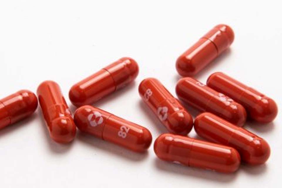 Falaremos com a Anvisa “muito em breve”, diz diretora sobre pílula anticovid