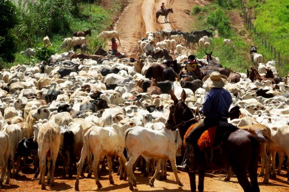 Rondônia registra aumento de empregos com carteira assinada durante um ano de pandemia; novas empresas foram criadas