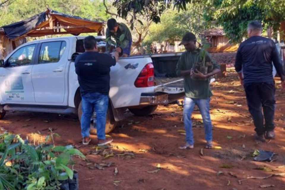 Ação ambiental beneficia indígenas com doação e plantio de mudas em Alto Alegre dos Parecis