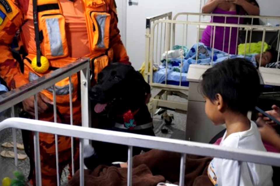 Alegria e carinho são levados a pacientes do Hospital Infantil Cosme e Damião por meio de Terapia Assistida por Animais