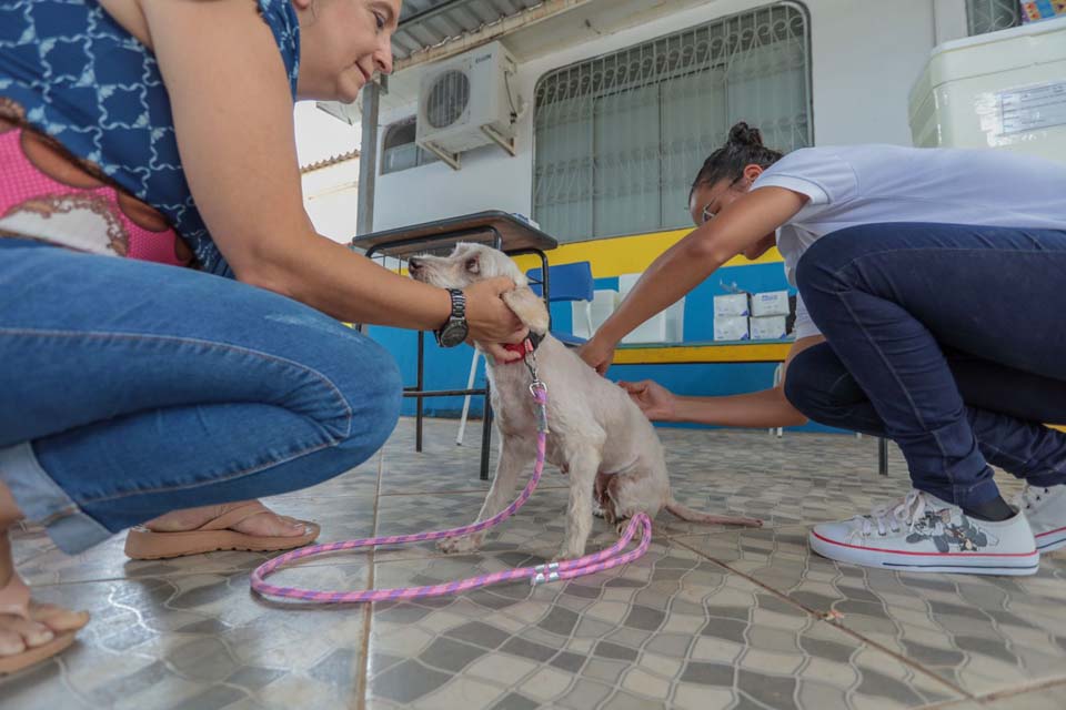 Mutirão de vacinação antirrábica será realizado em Extrema e Nova Califórnia