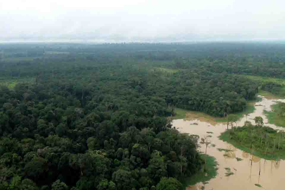 MP obtém inconstitucionalidade de lei que permite compensação de reserva legal por áreas equivalentes localizadas em unidade de conservação