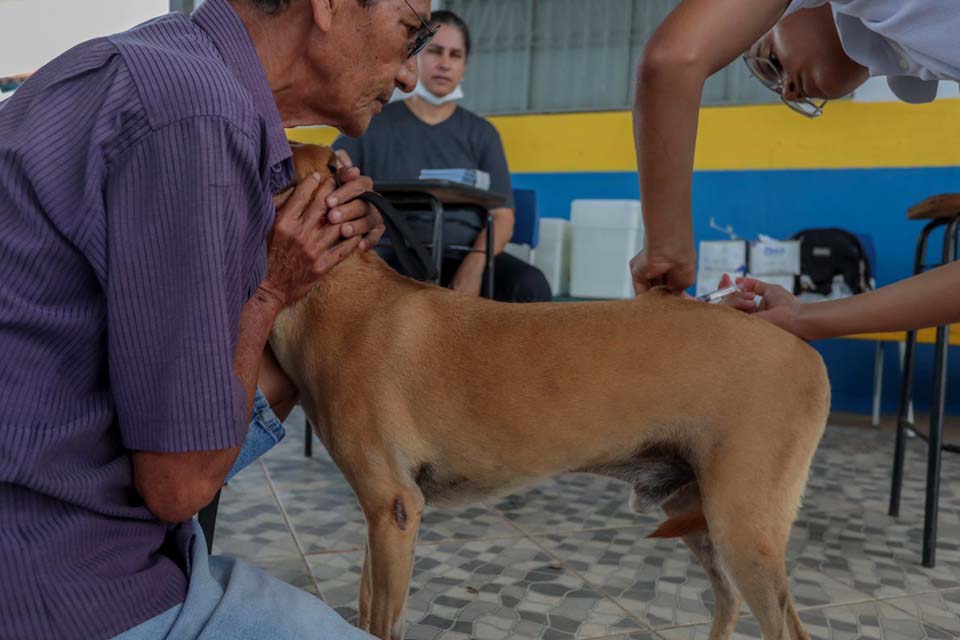 Vacinação para cães e gatos será realizada nos condomínios do Bairro Novo