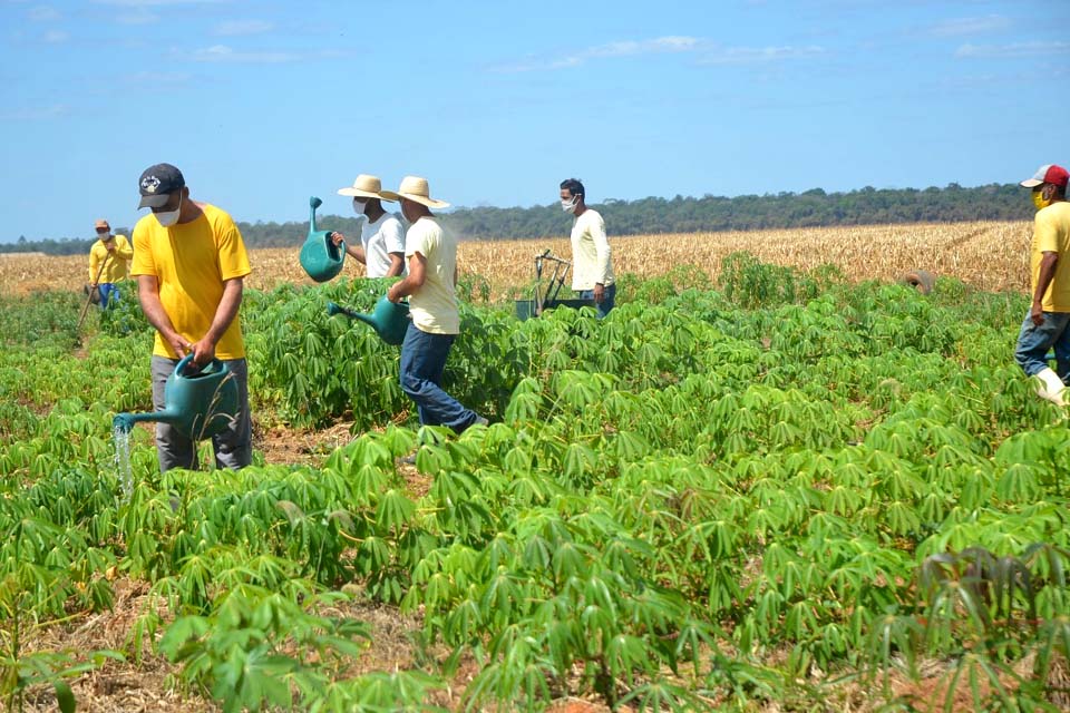 Produção orgânica de horta do presídio é doada para entidades do município