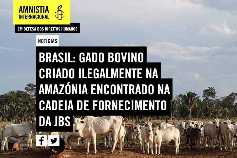 Amnistia Internacional considera que a IDARON reforça pecuária bovina comercial ilegal em Rondônia