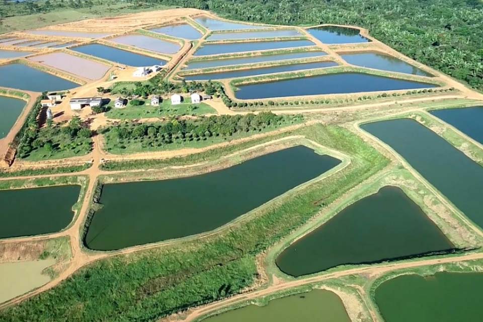 Indicações Geográficas criam formas de vender seus produtos