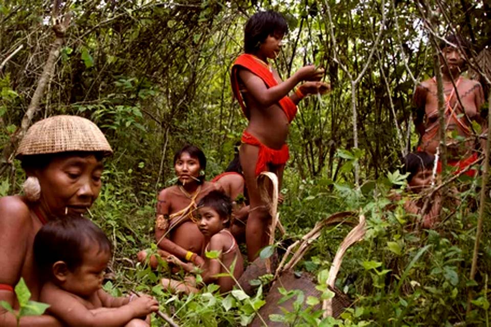 Barroso pede que União informe medidas para garantir segurança dos yanomamis