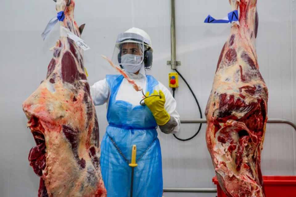 Plataforma Geração Emprego do governo de Rondônia apresenta mais de 2 mil vagas de emprego com destaque ao setor frigorífico