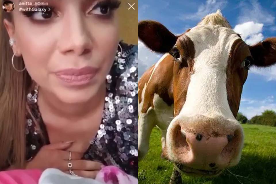 Em vídeo, Anitta 'explica' como funciona uma vaca leiteira