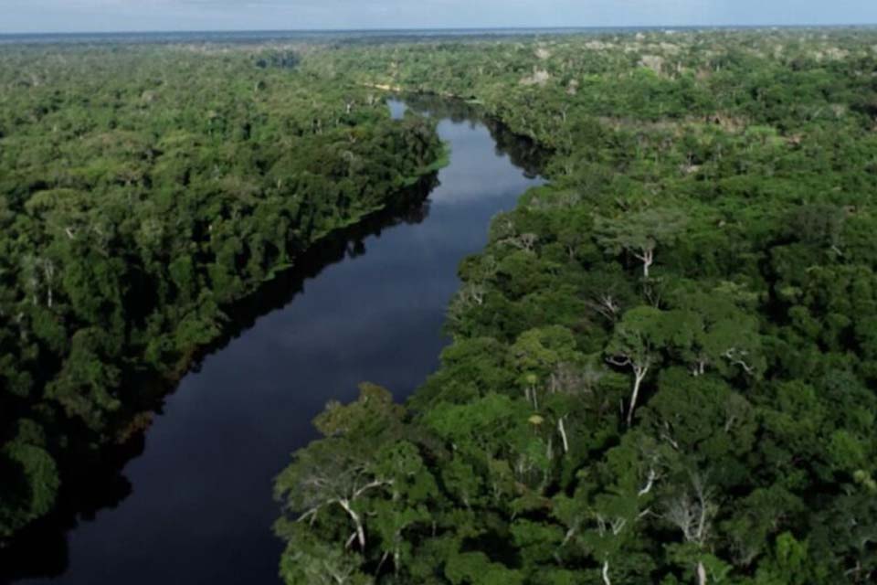 Área queimada no Brasil fica 31% abaixo da média histórica em 2025