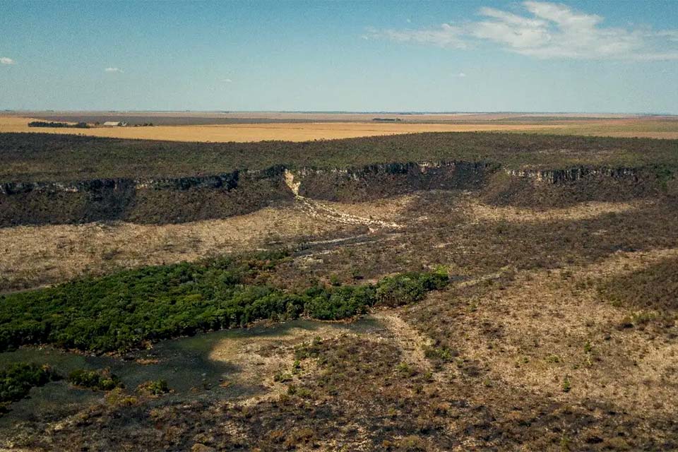 Governo monta força-tarefa para conter desmatamento no Cerrado