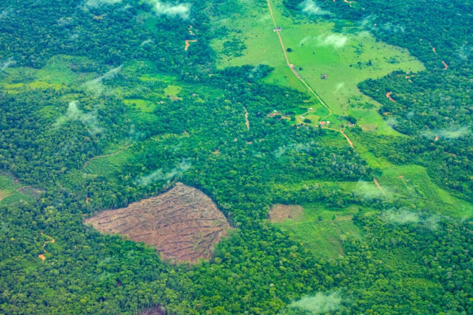 Seminário debate ações para garantir equilíbrio entre produção de alimento e meio ambiente