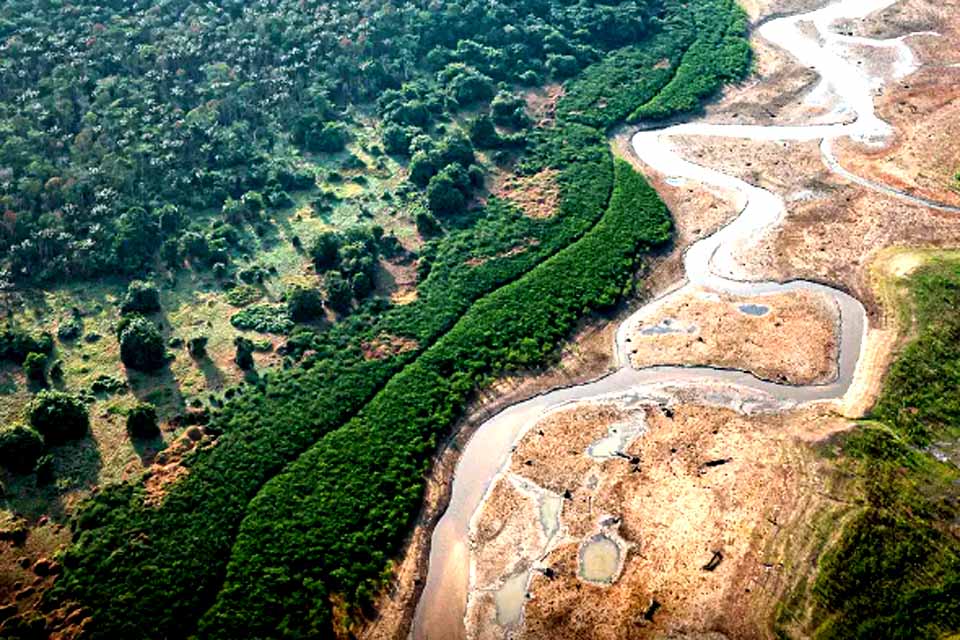 Dezesseis projetos concorrem em edital para restauração da Amazônia