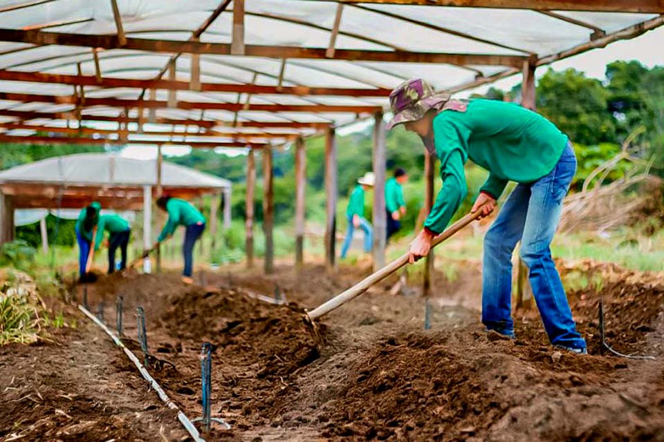 Governo abre edital com 400 vagas para cursos técnicos no Centec Abaitará