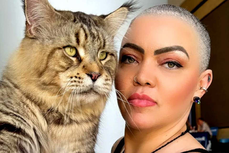 Gato brasileiro quer entrar para o Guinness como o maior do mundo