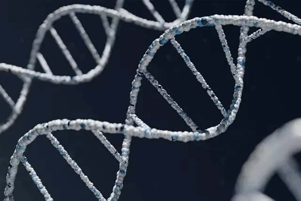 DNA humano é encontrado no ar, na terra e na água, revela pesquisa científica