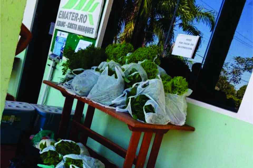 Produtos da agricultura familiar são adquiridos por meio do Programa de Aquisição de Alimentos