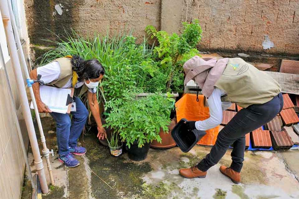 Dengue deve bater recorde de mortes no país, e epidemia pode avançar sobre o Nordeste