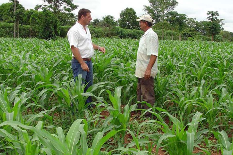 Produtores rurais e trabalhadores do campo também devem se proteger