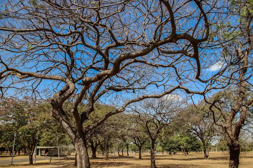 Inmet alerta sobre baixa umidade no Centro-Oeste e no Tocantins