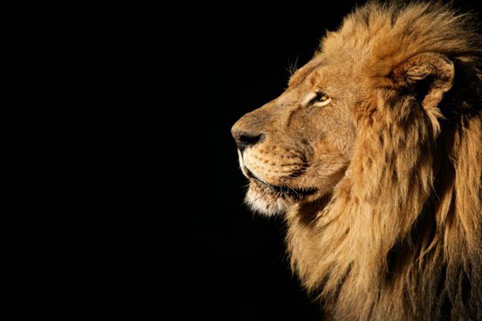 Professores que receberam os valores da ação da isonomia em 2023 devem ficar atentos a forma de declarar no IR