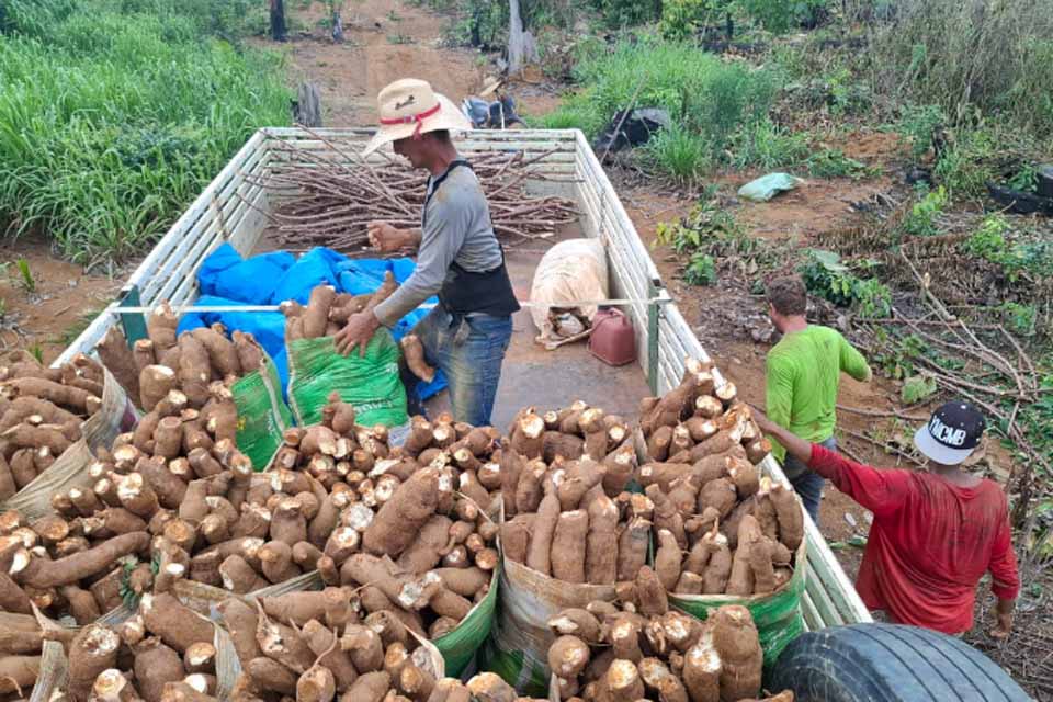 Prefeitura de Porto Velho realiza II Encontro de Mandiocultores para fortalecer a cadeia produtiva da mandioca nos distritos