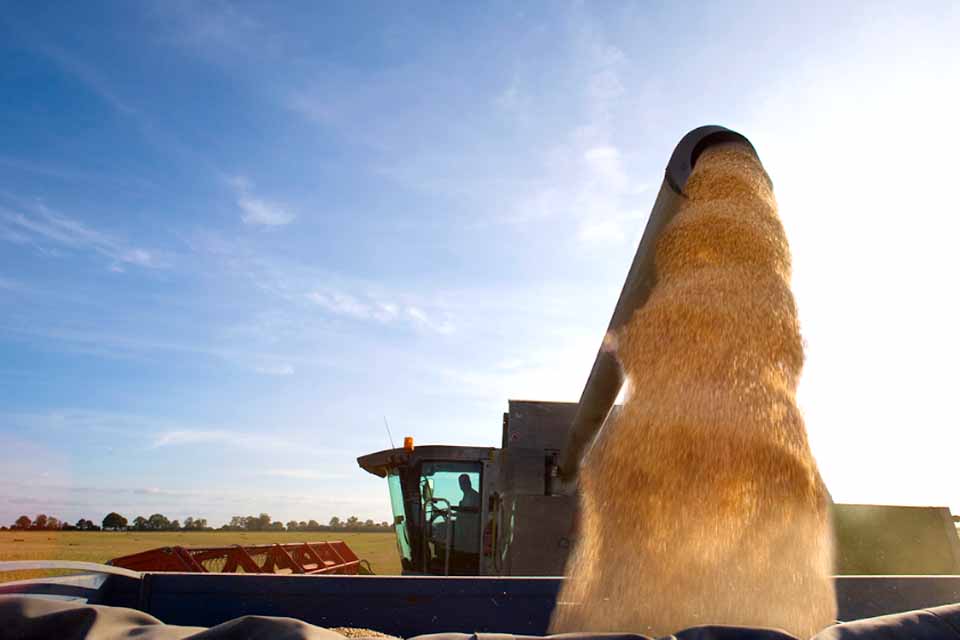 Rio Crespo se consolida como referência na produção de soja no Vale do Jamari