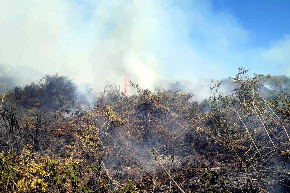 Incêndio destrói área do Pantanal perto de Corumba