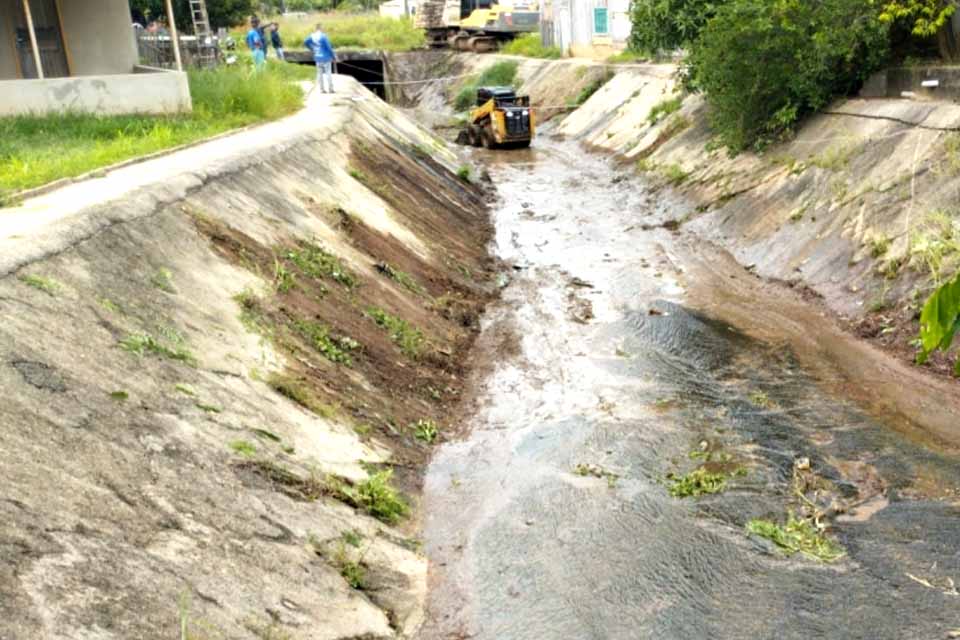 Limpeza do Igarapé Pintado marca início da recuperação do Parque Paineiras