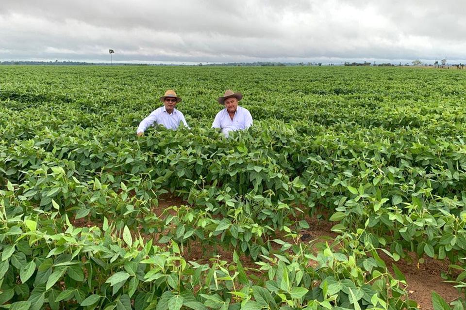 Aplicação do BASA no Plano Safra 2020/2021 já supera os R$ 2,4 bilhões