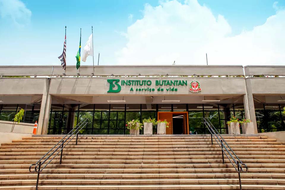 Butantan diz que carga com ovos para produção de vacinas está parada por conta de bloqueios de bolsonaristas