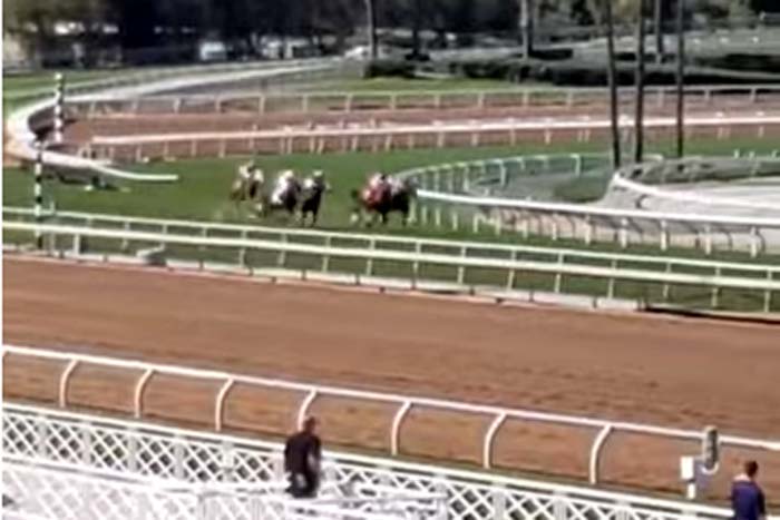 Cavalos tropeçam e caem em curva durante corrida 