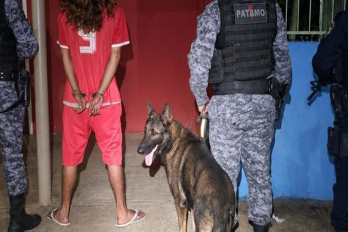 PATAMO de Jaru localiza droga em bagagem durante operação em Vale do Anari