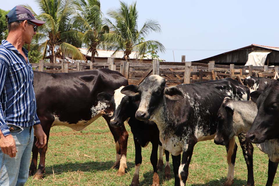 Assistência técnica de servidores da Emater, ajuda produtor de leite a equilibrar custo e receita