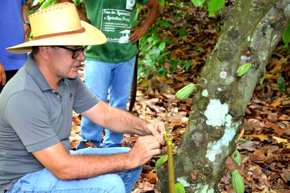 Prefeitura, SENAR e Sindicato Rural realizam Assistência Técnica e Gerencial em lavoura cacaueira de produtor