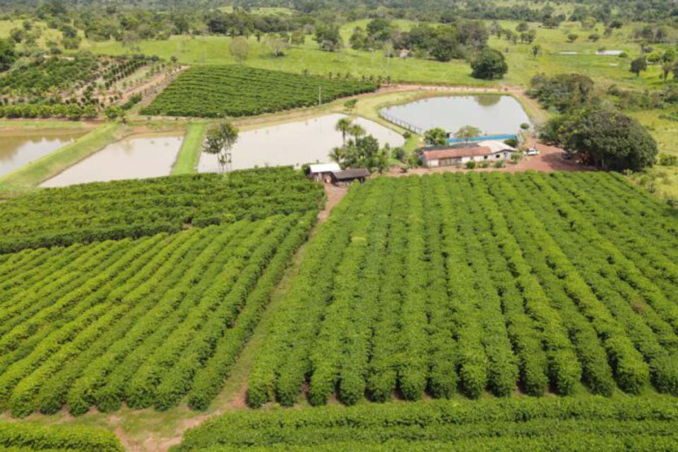 Rolim de Moura sediará nesta quarta-feira evento de lançamento do início da colheita do café