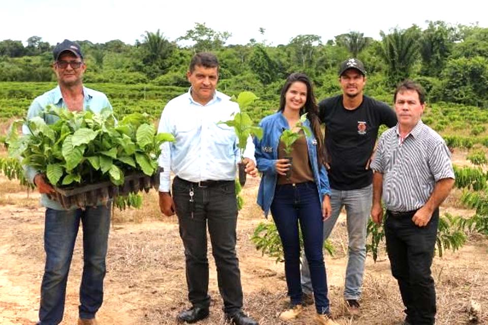 Semagri faz distribuição de quase 13.000 mil mudas de café clonal, para incentivar produtores rurais a investir na lavoura