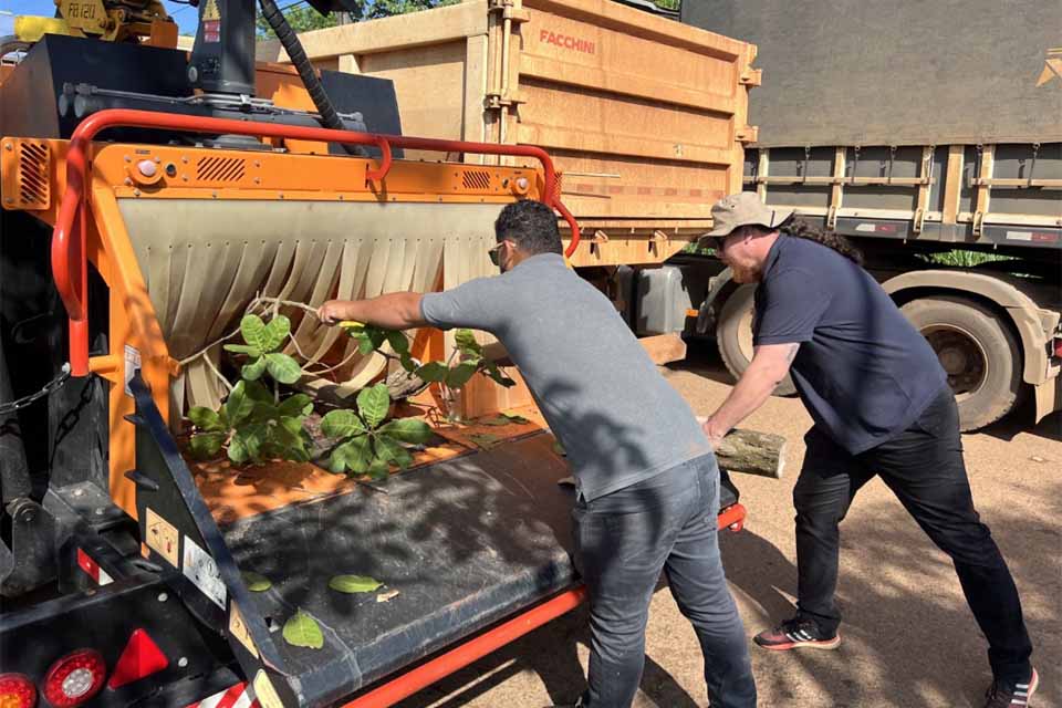 Ação integrada reaproveita 100% da poda de árvores e gera economia ao município