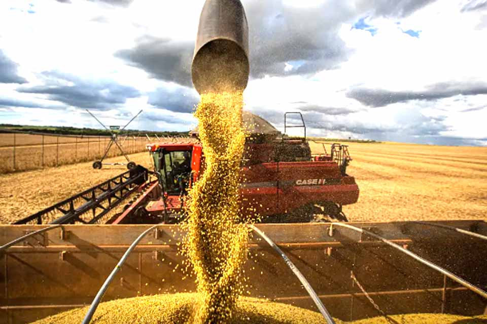 CNI mantém previsão de alta do PIB em 2,3% mesmo com tarifaço dos EUA