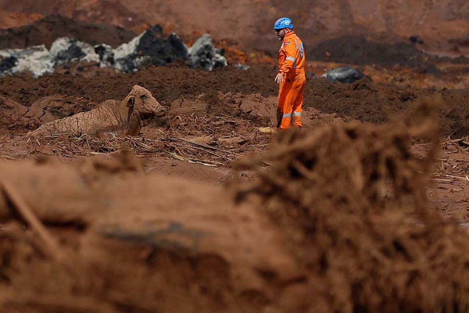 Política de Segurança de Barragens poderá incluir animais