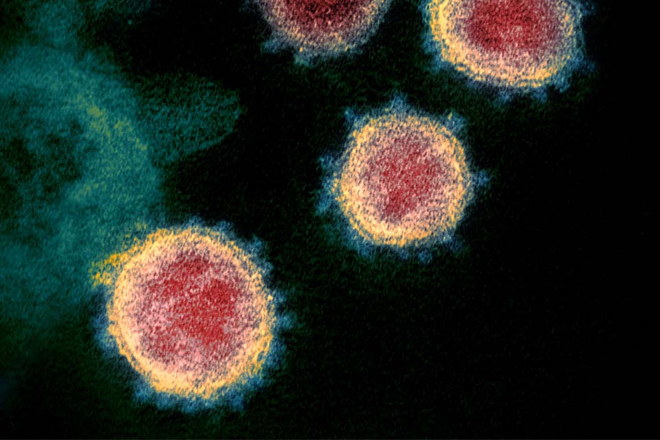Coronavírus: Porto Velho chega a 23 casos confirmados e concentra 82% do total em Rondônia