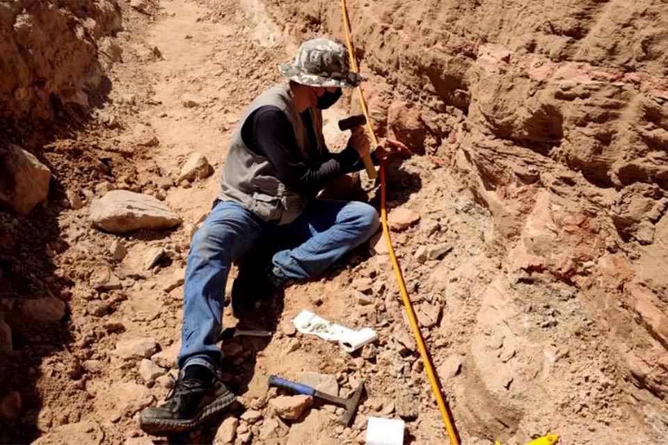 Escavação em rodovia de SP revela fragmentos de dinossauro