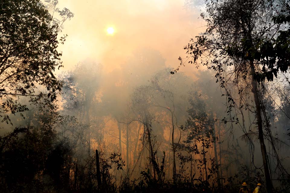 Região Amazônica tem quase 55 mil ações ambientais na Justiça de acordo com informações do CNJ