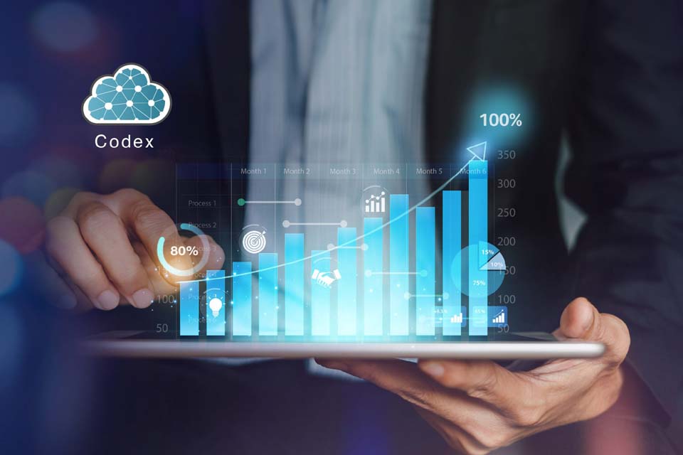 CNJ destaca pioneirismo do TJ-RO, primeiro tribunal a aderir 100% ao Codex