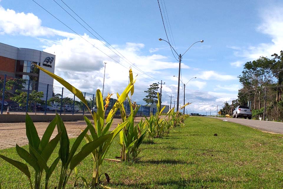 Crescimento do terceiro distrito avança e se torna um dos lugares mais nobres para se investir na cidade