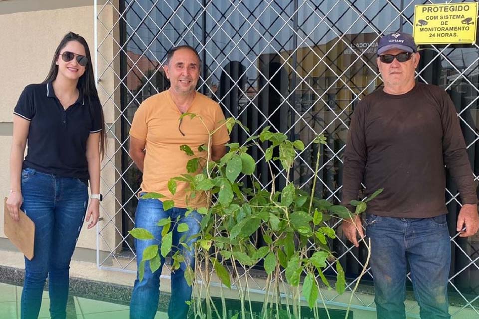 Semagri recebe doação do Tribunal de Justiça de mil mudas de Ipê